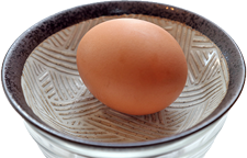 地養卵